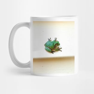 Angel Frog Mug